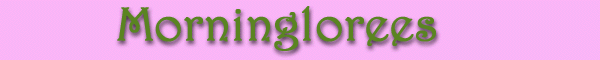 Morninglorees Banner